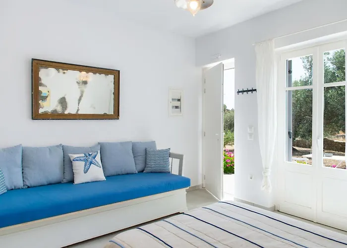 Rose אפולוניה