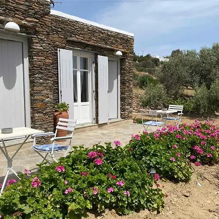 Rose * Apollonia (Sifnos)