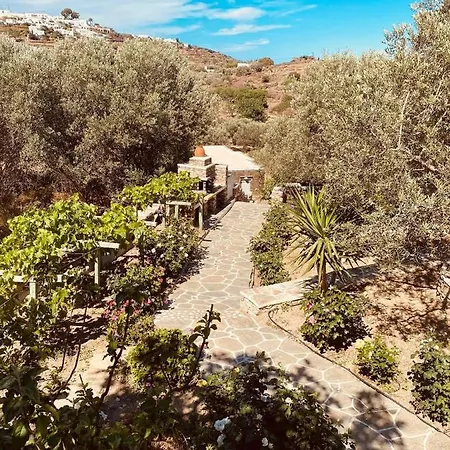 Rose Apollonia (Sifnos)