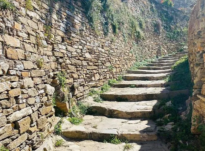 Rose Apollonia (Sifnos)
