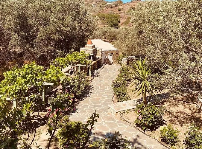 Rose Apollonia (Sifnos)